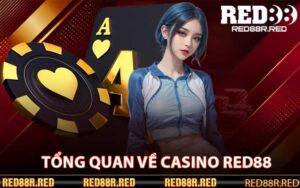 Tổng quan về casino Red88