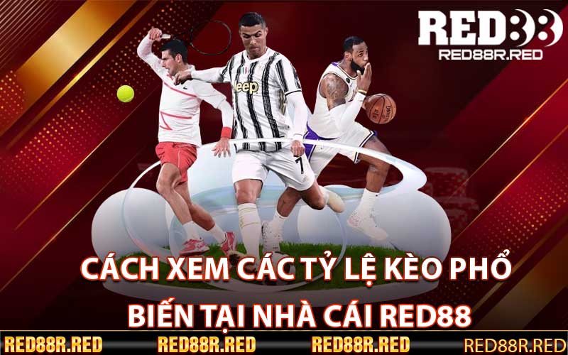 Cách xem các tỷ lệ kèo phổ biến tại nhà cái red88